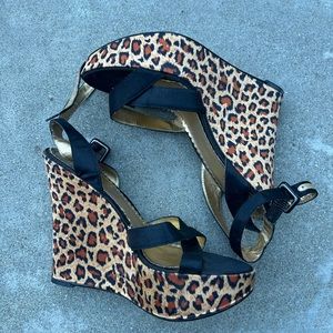 Hale Bob Y2K Platforms